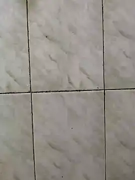 Mallu boy-tvpm online show from 12/05/24, 02:37