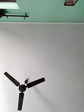 ZIMMY25 online show from 11/18/25, 03:54