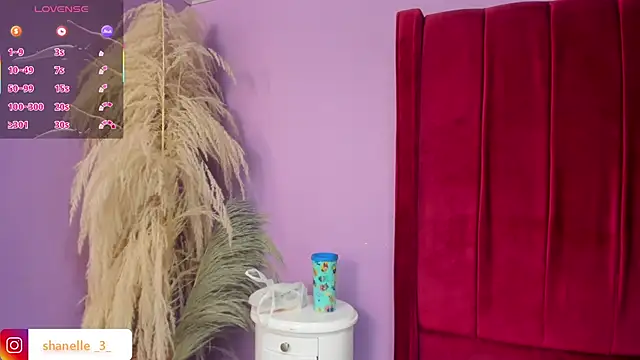 Shanelle   online show from 04/07/26, 02:19