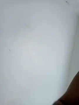 casal7722 online show from 02/10/26, 03:00