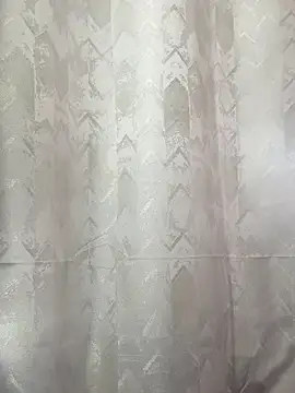 Alahia Rodriguez online show from 11/29/25, 08:31