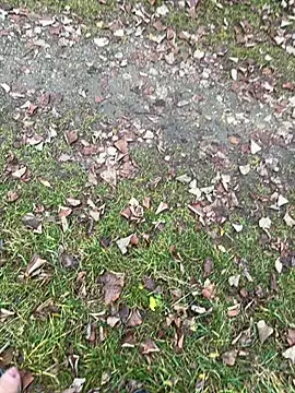 Aronn4 online show from 11/12/25, 08:07