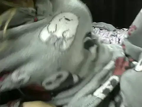 Paulita x3 online show from 09/11/25, 11:54