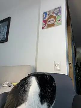 ananya sex1 online show from 03/15/26, 05:58