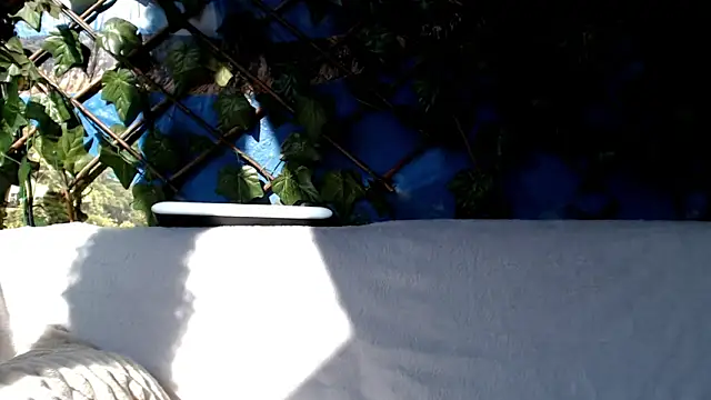 Bigboobs6930 online show from 03/03/25, 08:41