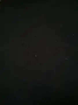 Ruby bear online show from 03/08/25, 08:55