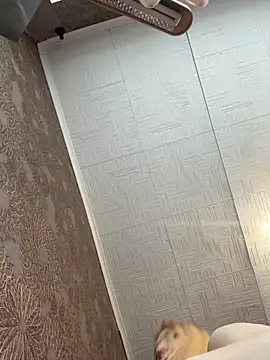 AmmyHot online show from 11/05/25, 04:04