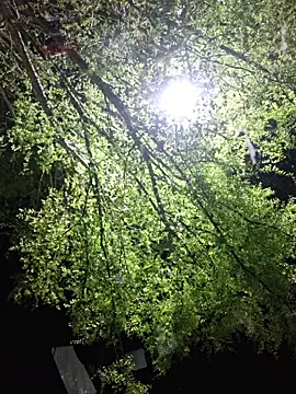 Hotbodyscottie online show from 03/22/26, 09:11