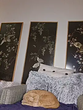 Hotbodyscottie online show from 02/01/26, 12:03