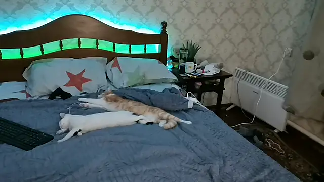 FelvivalKitty online show from 01/08/25, 09:23