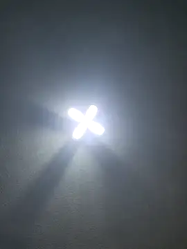 Ricorryxh online show from 11/24/25, 11:49