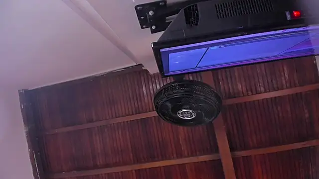 emily-fox online show from 02/13/26, 11:10