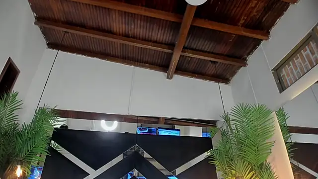 emily-fox online show from 04/14/26, 11:04