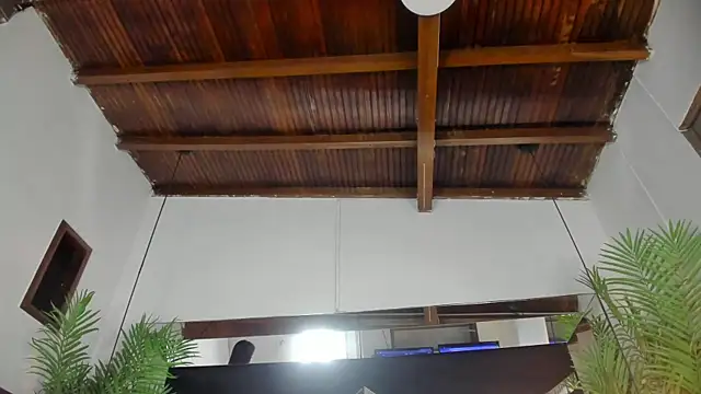 emily-fox online show from 03/31/26, 11:01