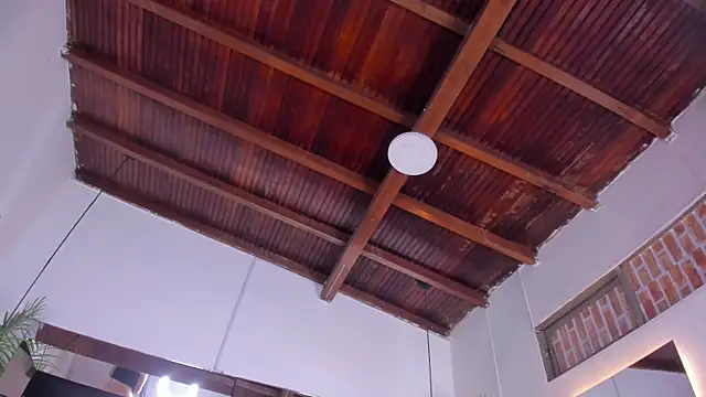 emily-fox online show from 03/19/26, 11:10