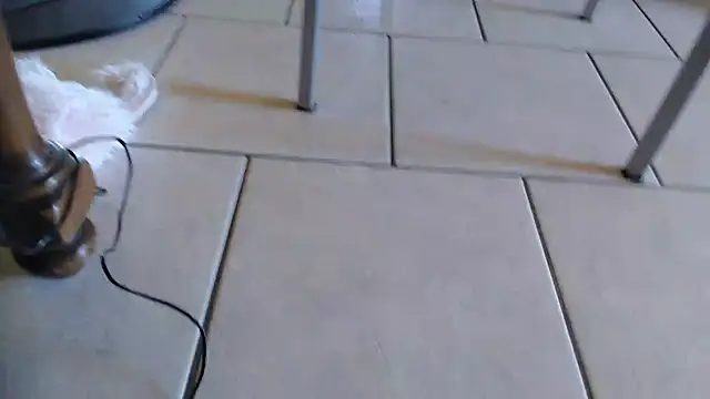 69porcellone69 online show from 10/02/25, 07:01