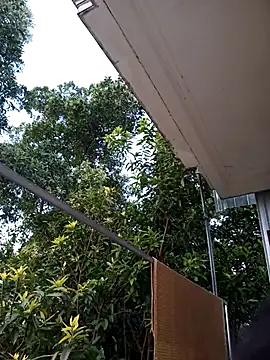 Hotestlove online show from 11/23/25, 11:59