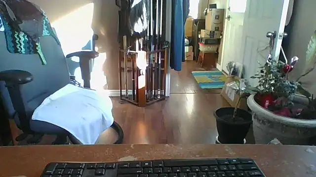 Daremeknot online show from 03/10/25, 01:54