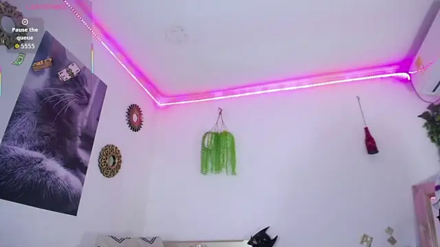 huge armound online show from 03/08/26, 07:39