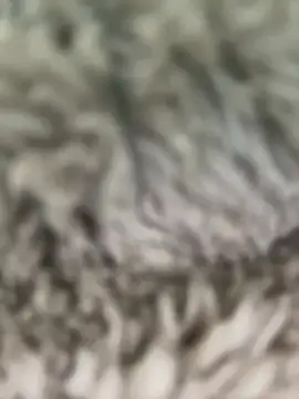 Hannagarces online show from 02/26/26, 11:21