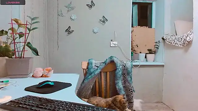 RosaJil online show from 01/15/25, 07:44