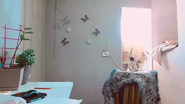 RosaJil online show from 02/12/25, 01:48