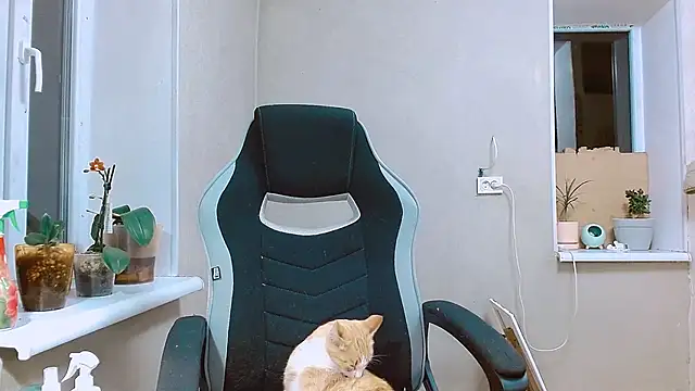 RosaJil online show from 09/13/25, 05:35