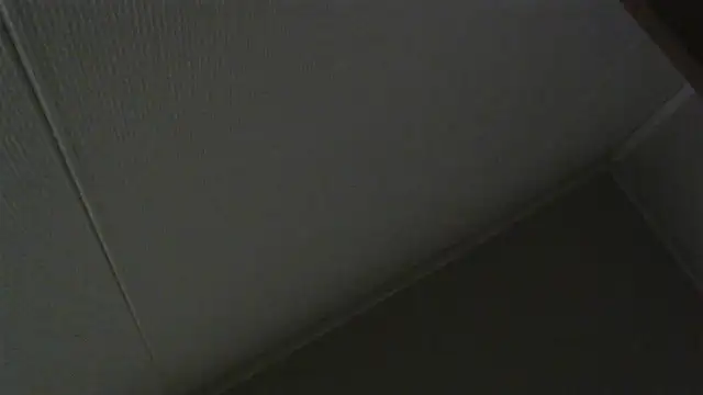 bycho online show from 06/22/26, 08:44