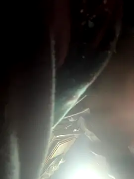 Followthepiper online show from 11/02/25, 09:25