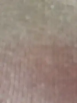 seherlatin online show from 02/07/26, 02:47