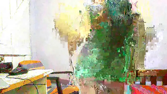 sachi933 online show from 12/29/24, 03:35