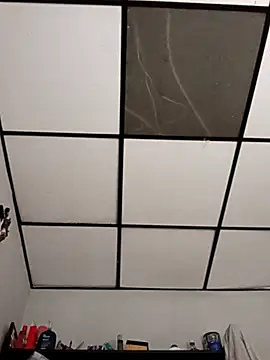 stefanie010 online show from 03/01/26, 08:20