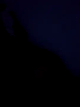 stefanie010 online show from 03/19/26, 11:43