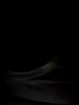 Mr Perfect Man online show from 01/08/25, 11:09