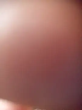 poloplayer123 online show from 02/13/26, 01:44