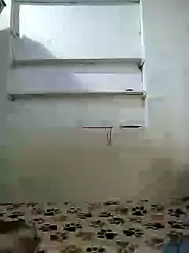 Snapshot of Cameron_puppy chatting on 04/19/26, 11:22 Cameron puppy online show from 04/19/26, 11:22