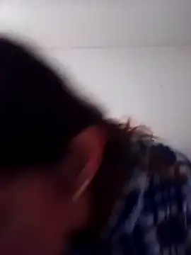 Cameron puppy online show from 10/14/25, 04:29