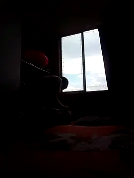 Cameron puppy online show from 11/15/25, 08:35