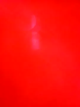 Cameron puppy online show from 12/01/25, 07:26