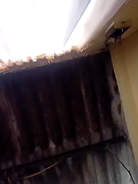 dantero online show from 02/27/25, 03:48