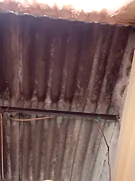 dantero online show from 02/02/25, 07:25