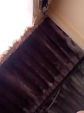 dantero online show from 01/13/25, 04:51