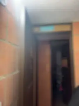 Sachi Meow online show from 02/14/26, 11:54