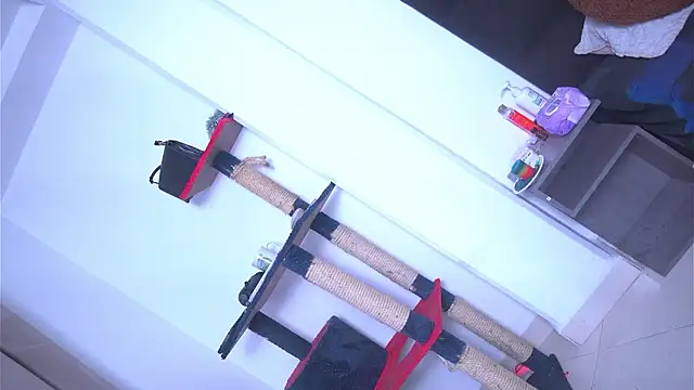 argiee taylorxs2 online show from 03/04/26, 11:34