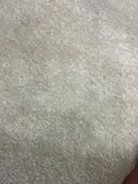 furkanktyAcalea online show from 12/02/25, 08:43