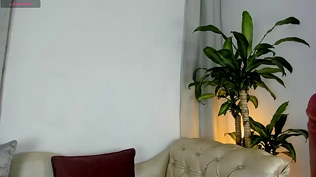 Jentokio online show from 02/11/26, 10:53