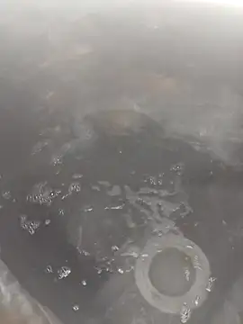 Snapshot of bella8769 chatting on 02/21/26, 06:26 bella8769 online show from 02/21/26, 06:26