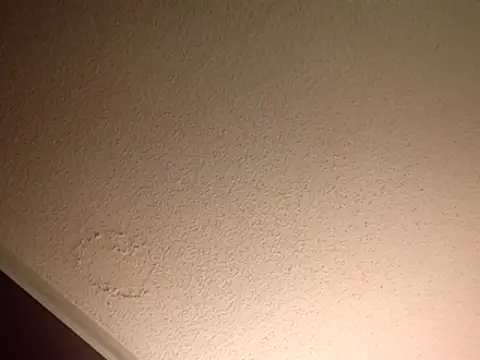 Treemandude online show from 11/10/25, 11:43