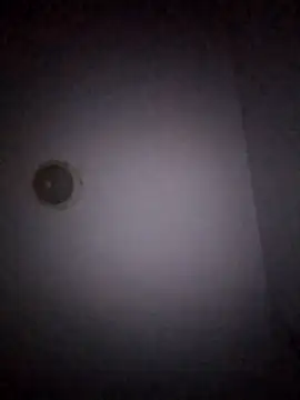 Treemandude online show from 01/15/26, 11:02