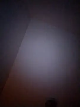 Treemandude online show from 01/06/26, 10:08